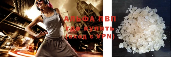 гашик Новодвинск