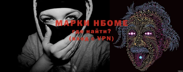 гашик Новодвинск