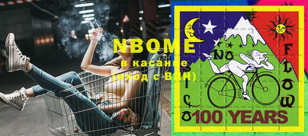 гашик Новодвинск