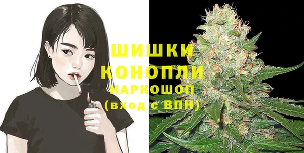 гашик Новодвинск