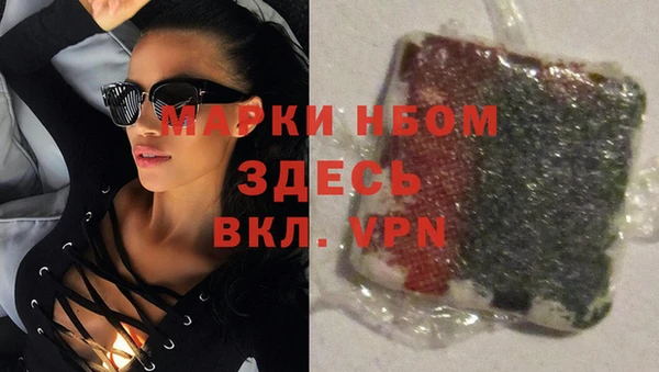 гашик Новодвинск