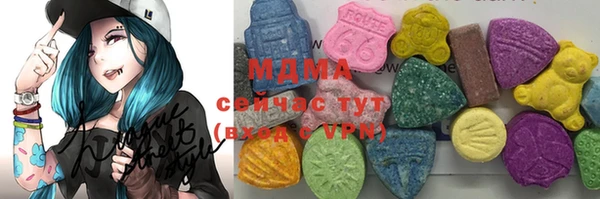 гашик Новодвинск
