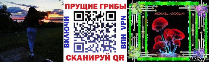 Галлюциногенные грибы Psilocybine cubensis Завитинск